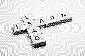 Learn-Lead 2b
